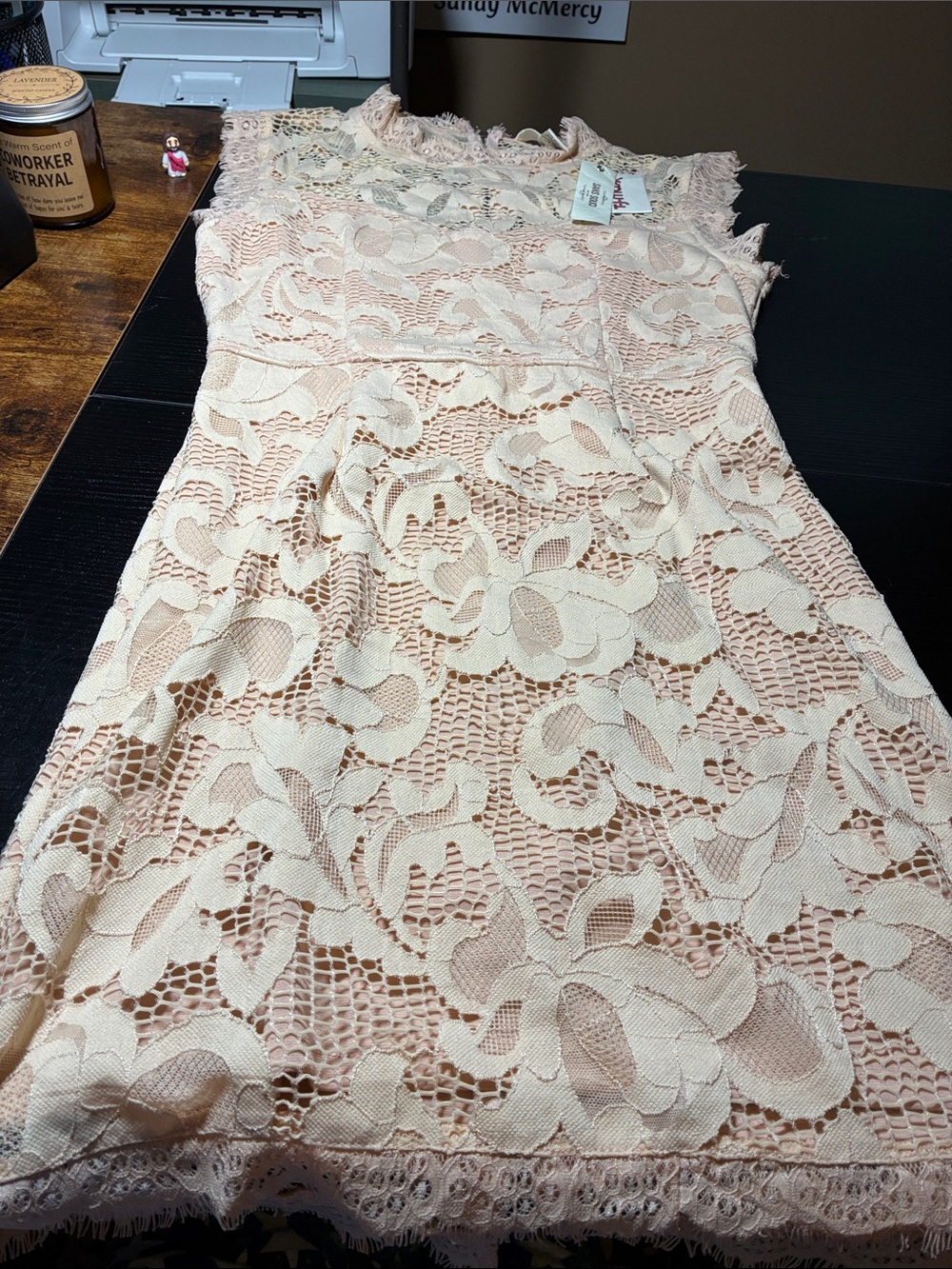 Sans Souci Blush Lace Midi Dress